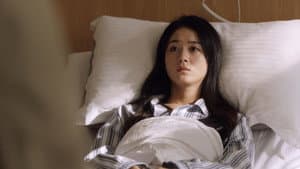 Episodio 12
