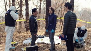 Episodio 9