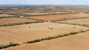 Pesticides, l'hypocrisie européenne — foto 1