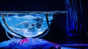 Cirque du Soleil: Amaluna — foto 2