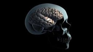 Drogues et cerveau — foto 1