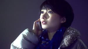 流れ星が消えないうちに — foto 1