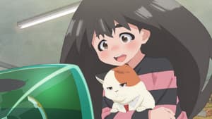 Episodio 22