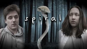 Spiral — foto 1