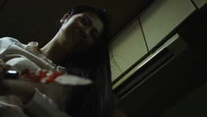 グレイトフルデッド — foto 4