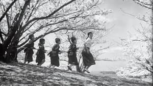 二十四の瞳 — foto 7