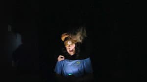 Tale-tellers — foto 5
