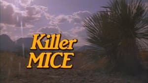 Episodio 7