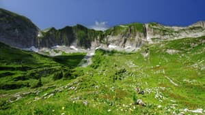Unsere wilde Schweiz — foto 1