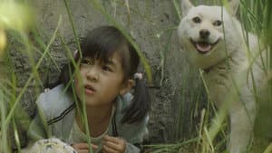 駅までの道をおしえて — foto 5