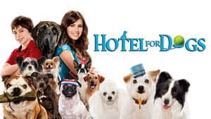 Hotel para Perros — foto 2