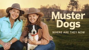 Muster Dogs: Where Are They Now — foto 2