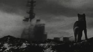太平洋奇跡の作戦　キスカ — foto 1