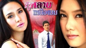 กุหลาบเหนือเมฆ — foto 1
