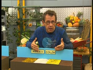 Episodio 456