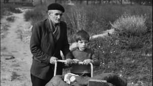 ...Enfants des courants d'air — foto 1