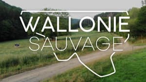 Wallonie sauvage — foto 1