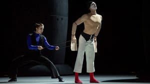 Bolshoi Ballet: Carmen Suite / Petrushka — foto 2