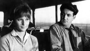 Les Petits Matins — foto 1