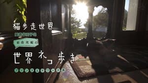 Episodio 54