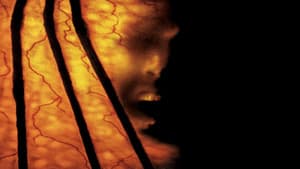 El demonio 2 — foto 1