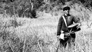 Guerra do Paraguay — foto 1