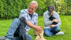 Episodio 13