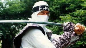 The Ninja Showdown — foto 2