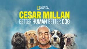 Cesar Millan: Better Human, Better Dog — foto 7
