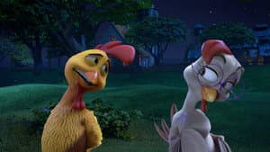 Un gallo con muchos huevos — foto 2