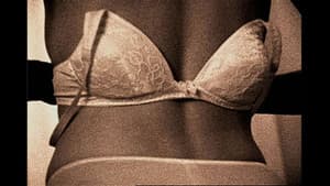 Daily — foto 1