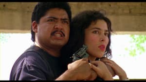 El Mariachi — foto 10