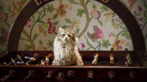 Mi papá es un gato — foto 11