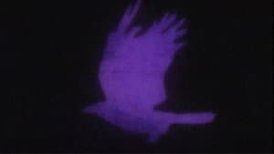 Edgar Allan Poe's The Raven — foto 1