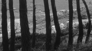 Jules et Jim — foto 7
