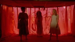 Necromancer — foto 2