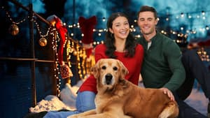 Tails of Christmas — foto 3