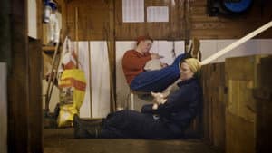 Sau — foto 1