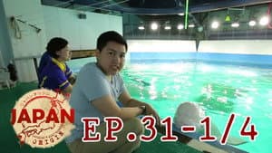 Episodio 31