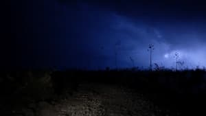 Luces del desierto — foto 6