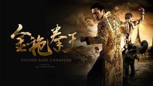 金袍拳王 — foto 1