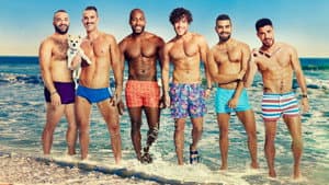 Fire Island — foto 1