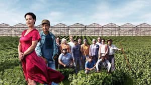 Le temps des framboises — foto 1