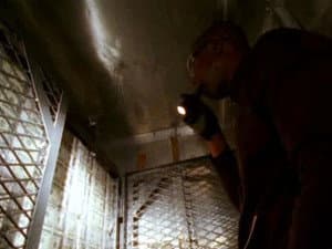 Episodio 5