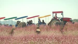 세하별 — foto 1