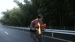阳光俱乐部 — foto 2