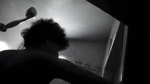 Shadows of Silence — foto 2