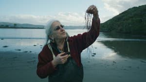 Seaweed Stories — foto 5