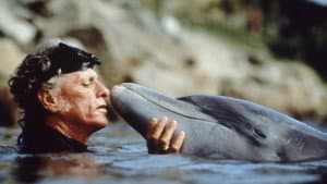 The Cove — foto 7