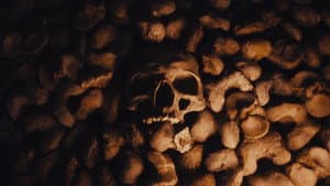 Queens of the Stone Age: Alive in the Catacombs — foto 5